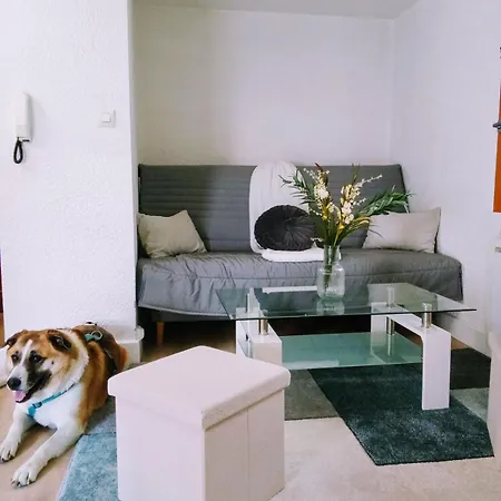 아파트 Duplex Centre Historique 스트라스부르