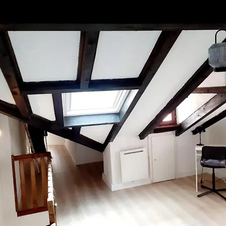 Duplex Centre Historique * Strasbourg