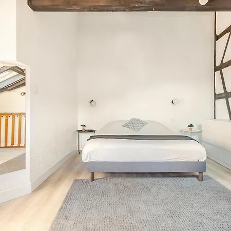 Apartment Duplex Centre Historique
