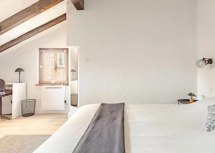 Duplex Centre Historique