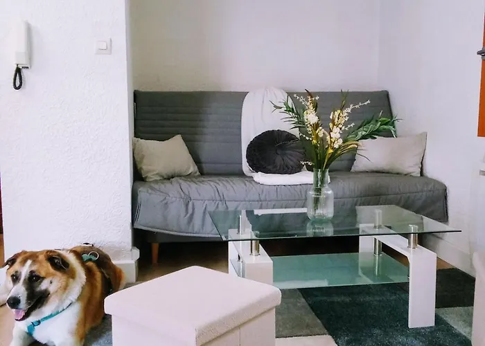 Appartement Duplex Centre Historique Strasbourg