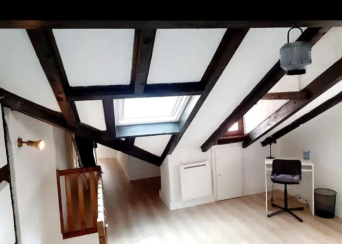 Duplex Centre Historique * Strasbourg