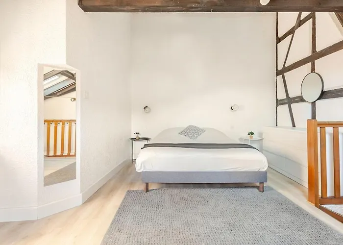Apartment Duplex Centre Historique